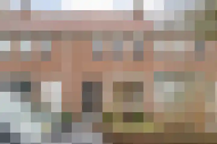 Zonnebloemstraat 5 Zwolle thumbnail 48