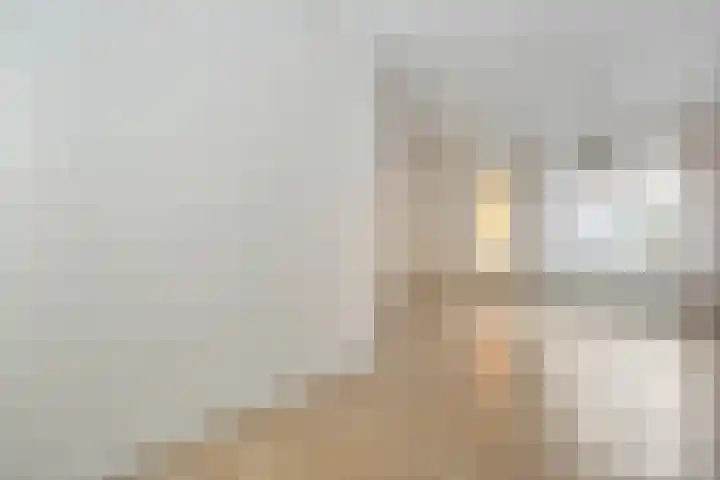 Zonnebloemstraat 5 Zwolle thumbnail 5