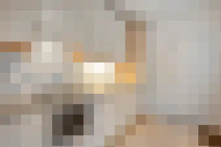 Zonnebloemstraat 5 Zwolle thumbnail 7