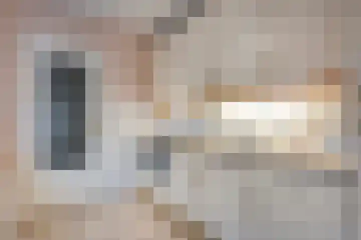 Zonnebloemstraat 5 Zwolle thumbnail 8