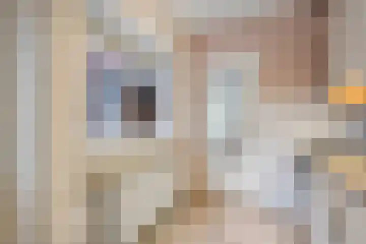 Zonnebloemstraat 5 Zwolle thumbnail 9