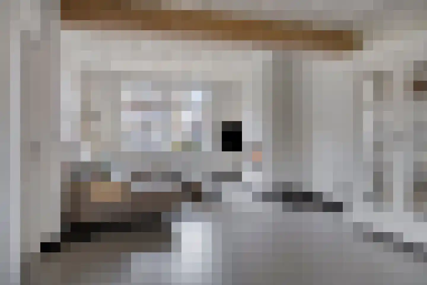 Zonnebloemstraat 51 Goes thumbnail 10