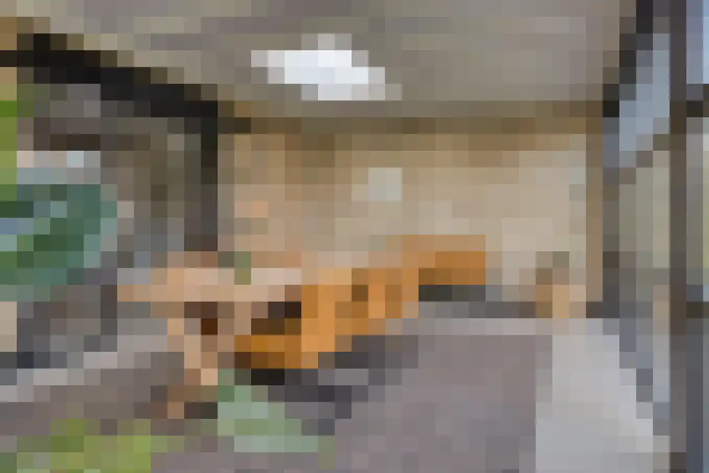 Zonnebloemstraat 51 Goes thumbnail 21