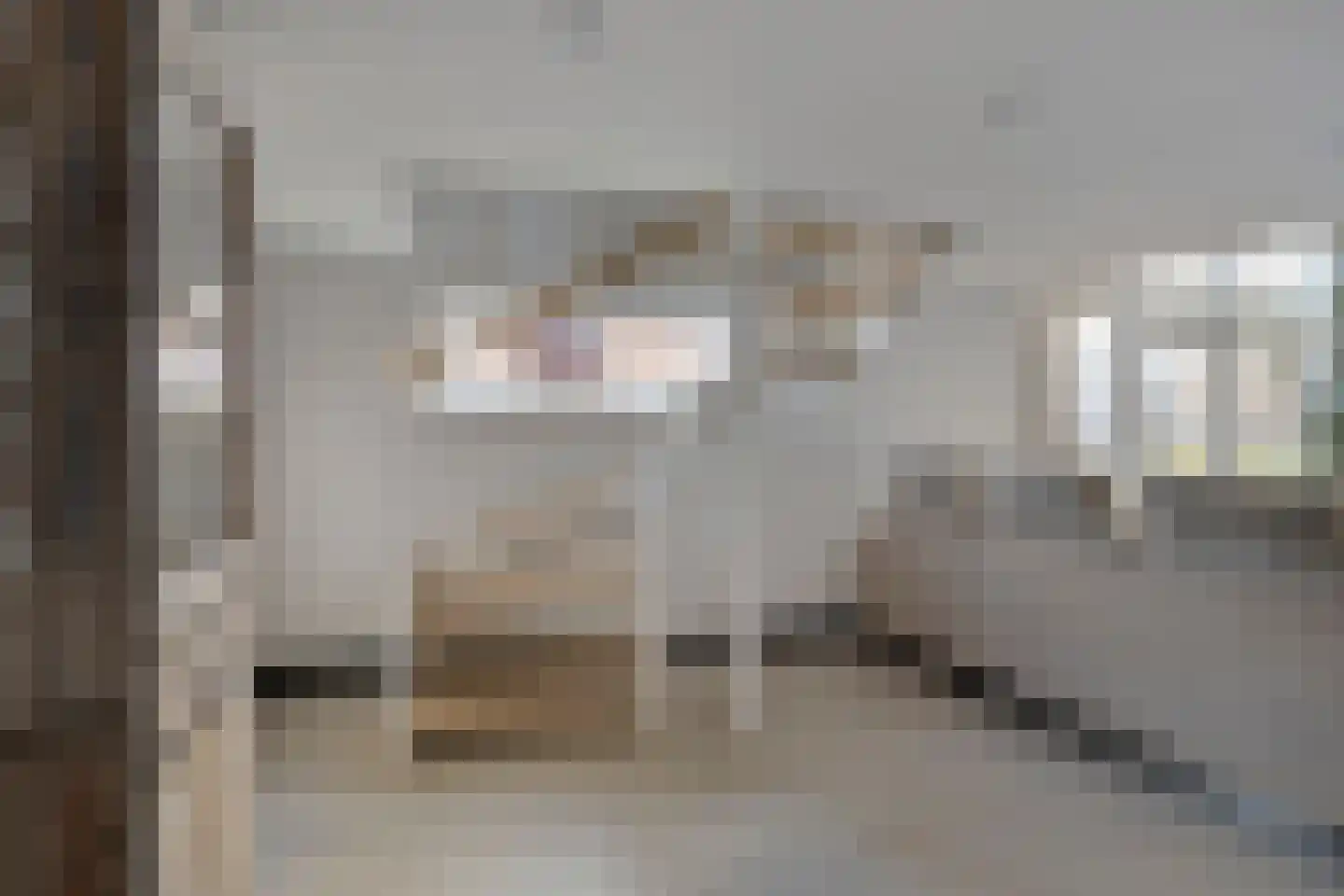 Zonnebloemstraat 51 Goes thumbnail 25
