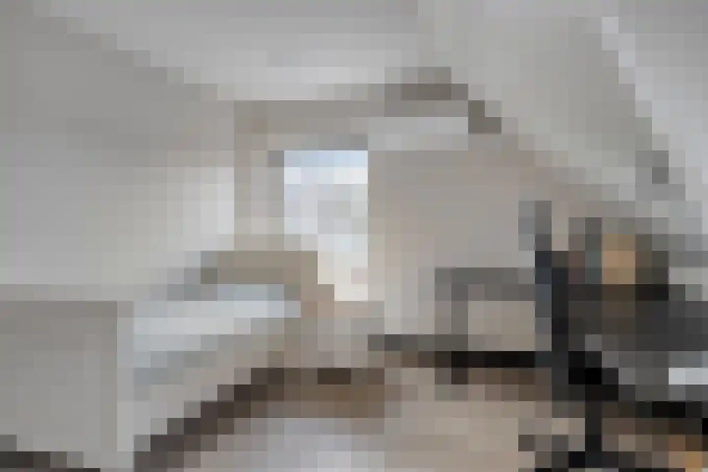 Zonnebloemstraat 51 Goes thumbnail 38