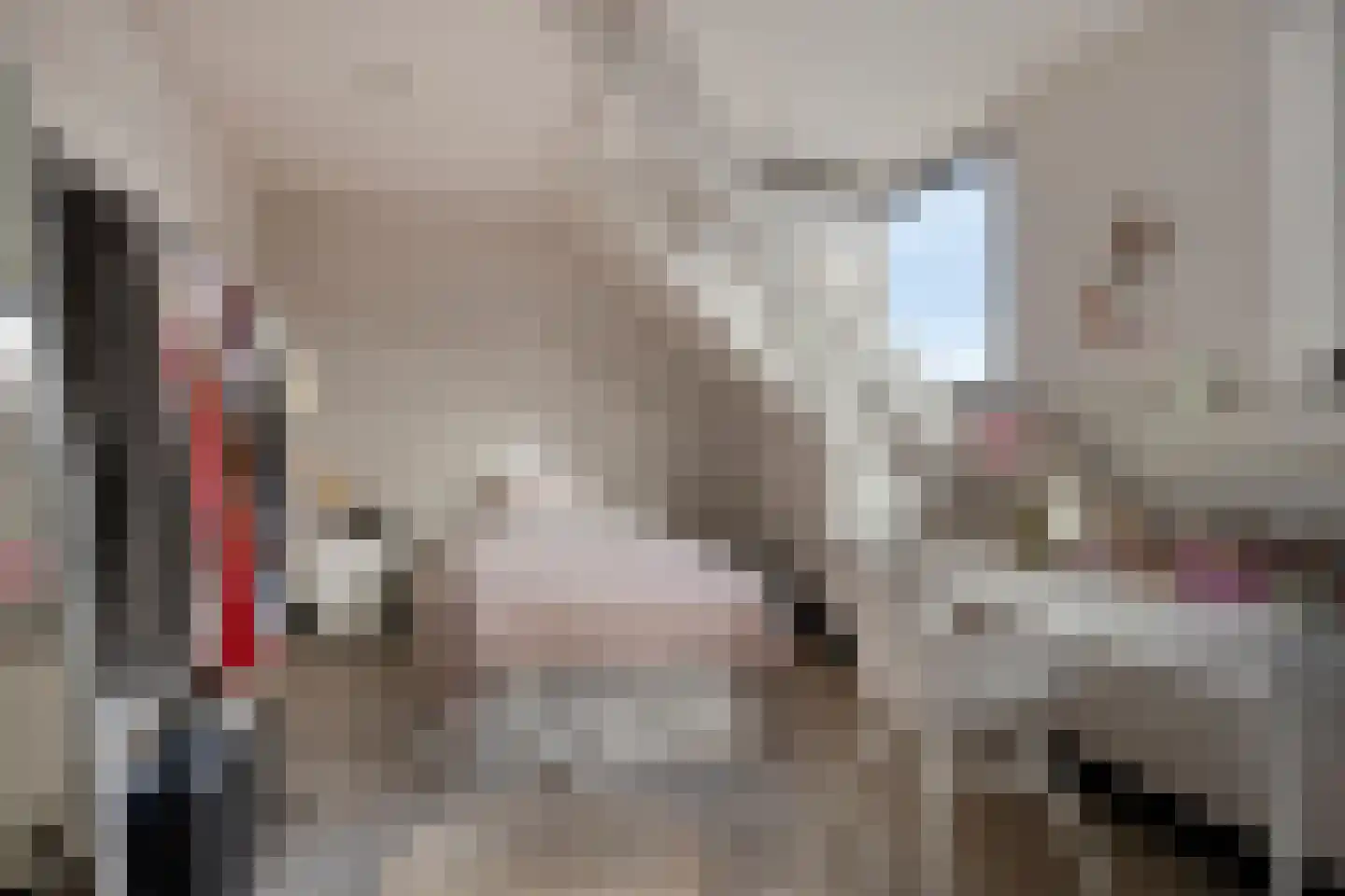Zonnebloemstraat 51 Goes thumbnail 43