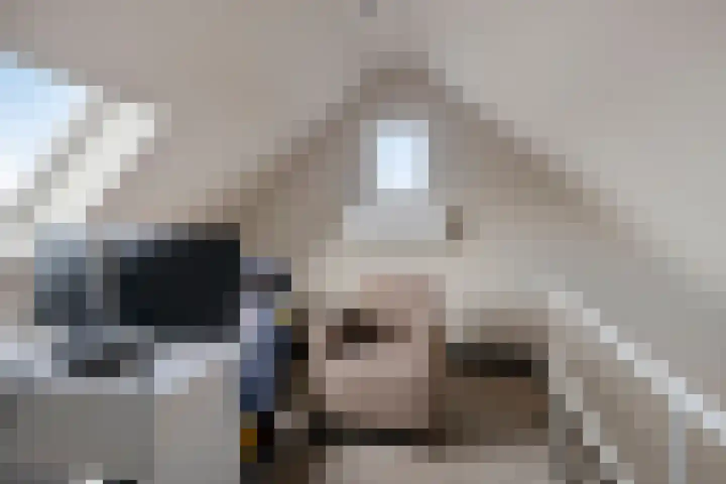Zonnebloemstraat 51 Goes thumbnail 53