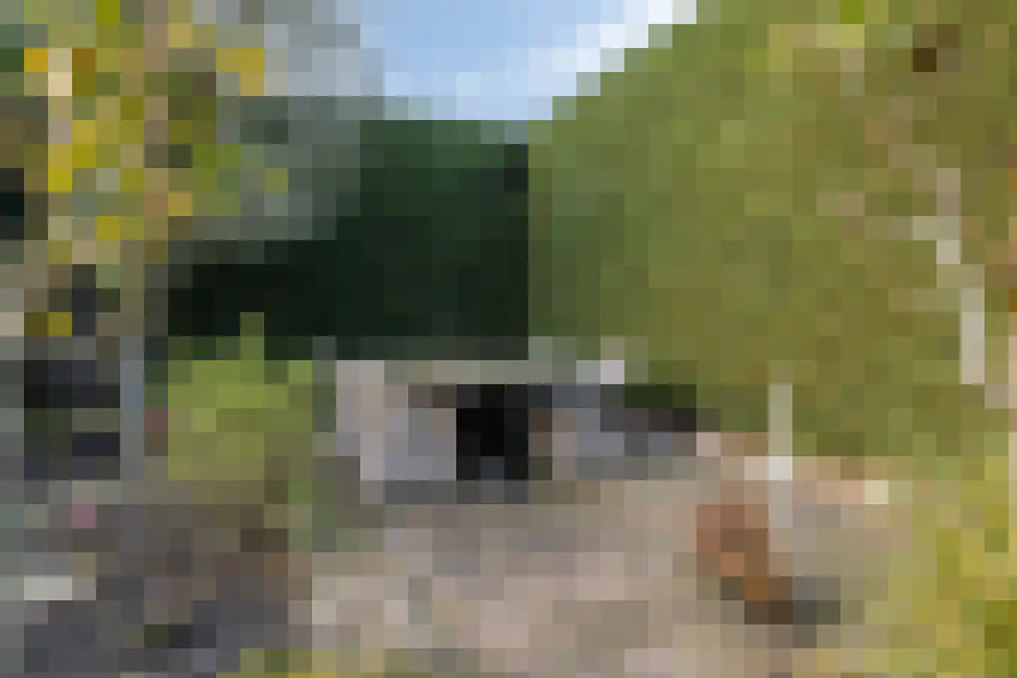 Zonnebloemstraat 51 Goes thumbnail 58