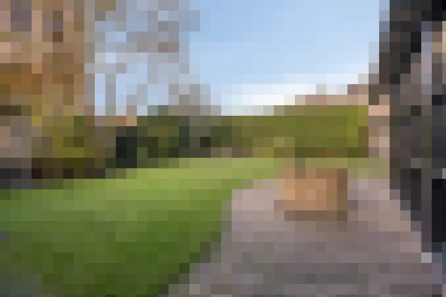 Zonnebloemstraat 51 Goes thumbnail 61