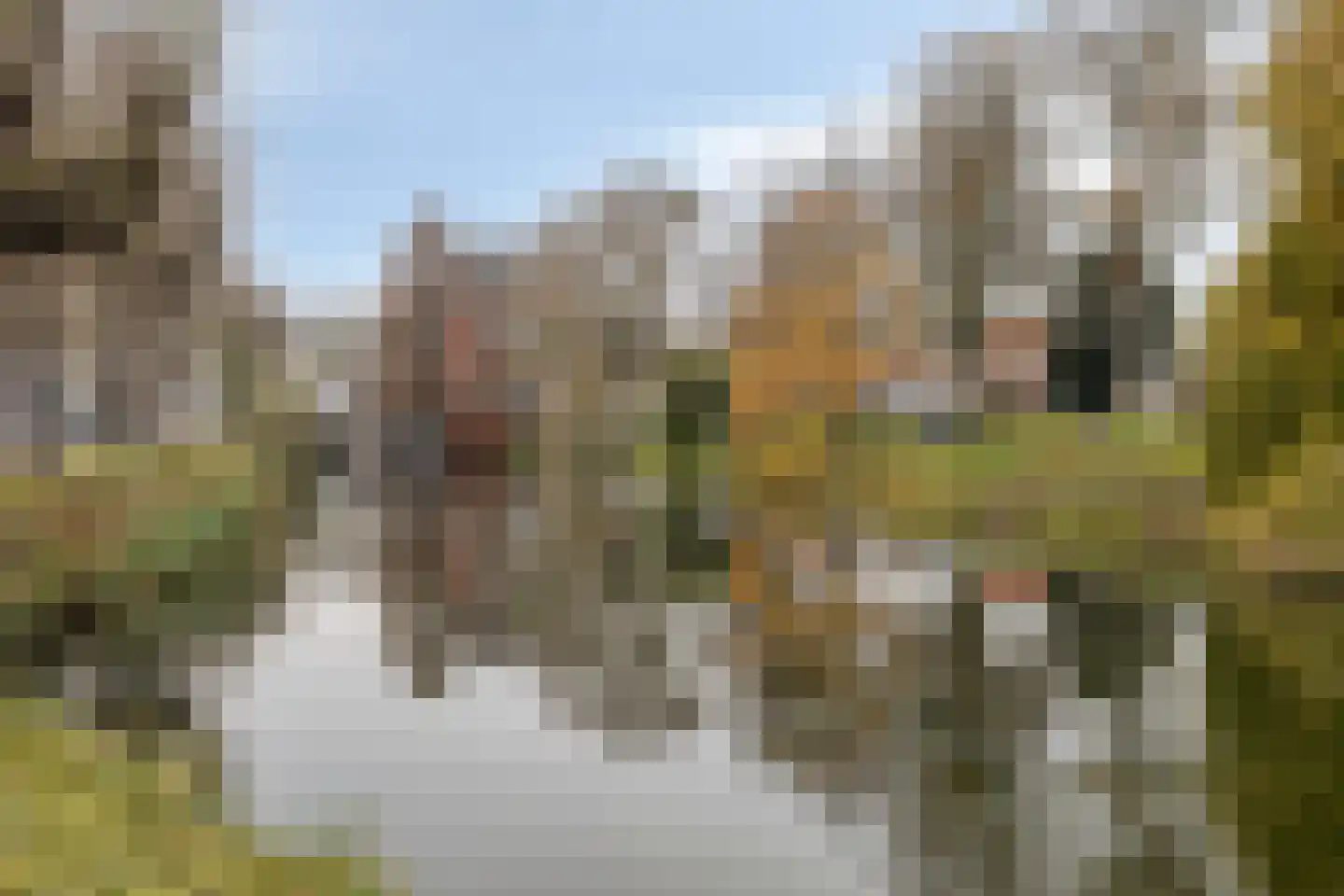 Zonnebloemstraat 51 Goes thumbnail 68