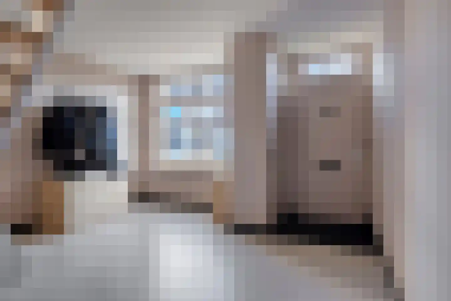 Zonnebloemstraat 51 Goes thumbnail 8