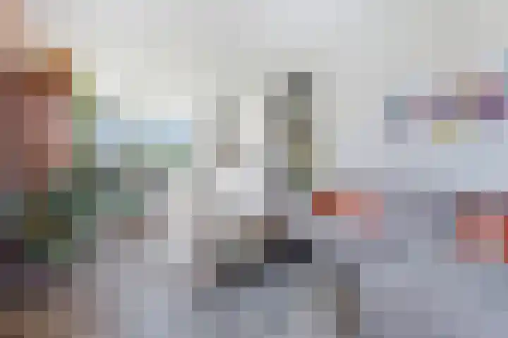 Zonnebloemstraat 52 A Rotterdam thumbnail 32