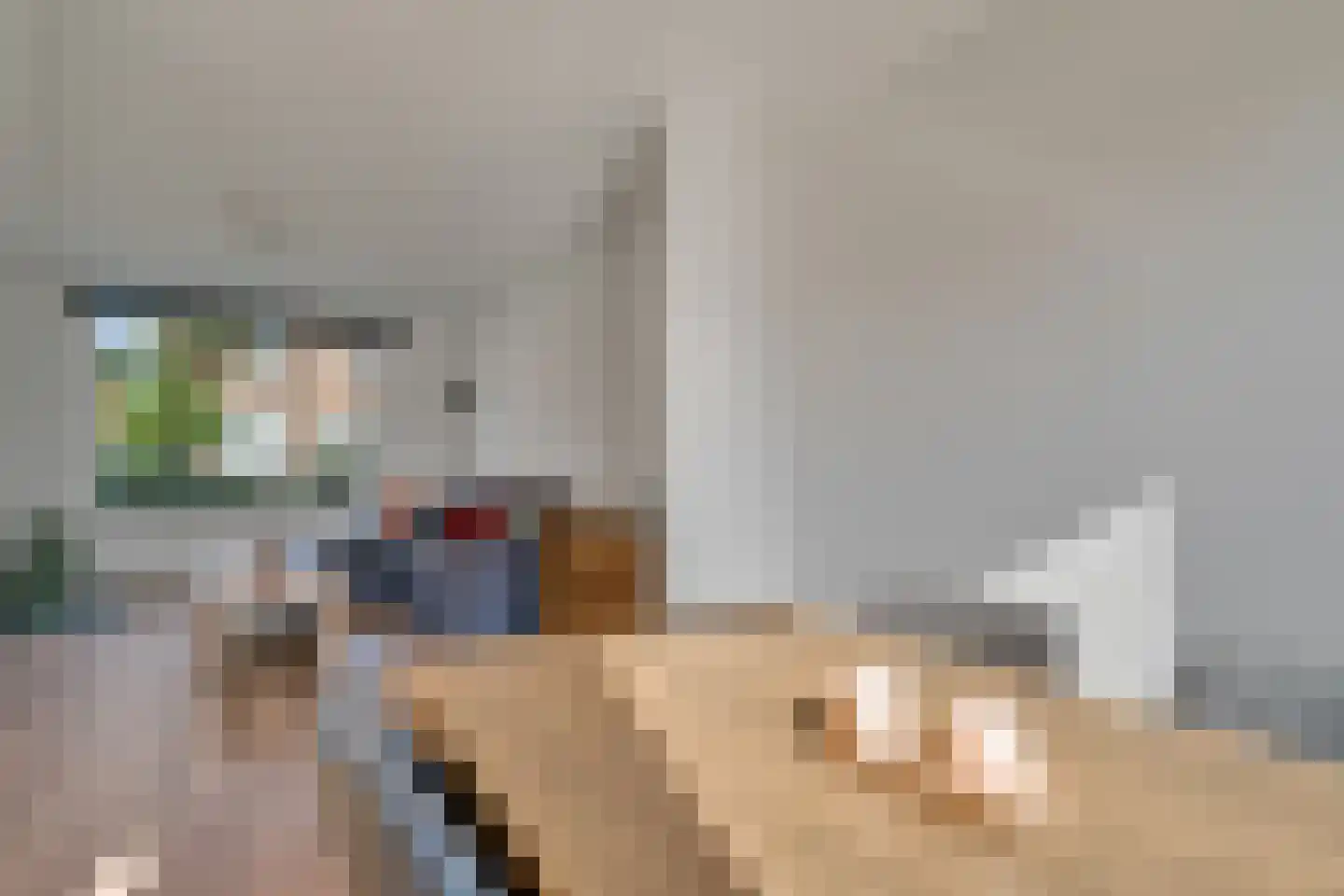 Zonnebloemstraat 58 Nijverdal thumbnail 8
