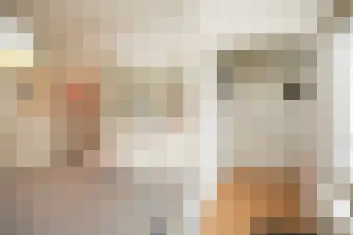 Zonnebloemstraat 63 B Rotterdam thumbnail 11