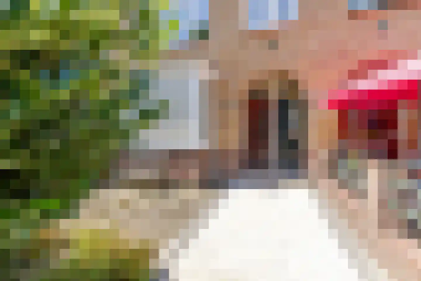 Zonnebloemstraat 68 B Rotterdam thumbnail 41