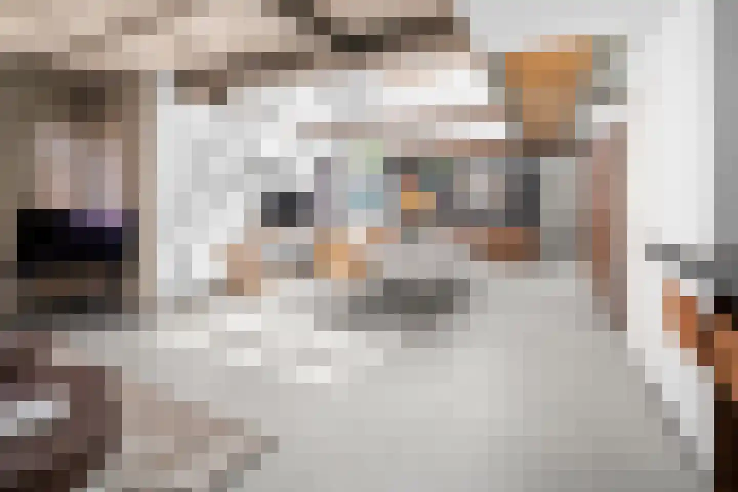 Zonnebloemstraat 7 Breda thumbnail 12