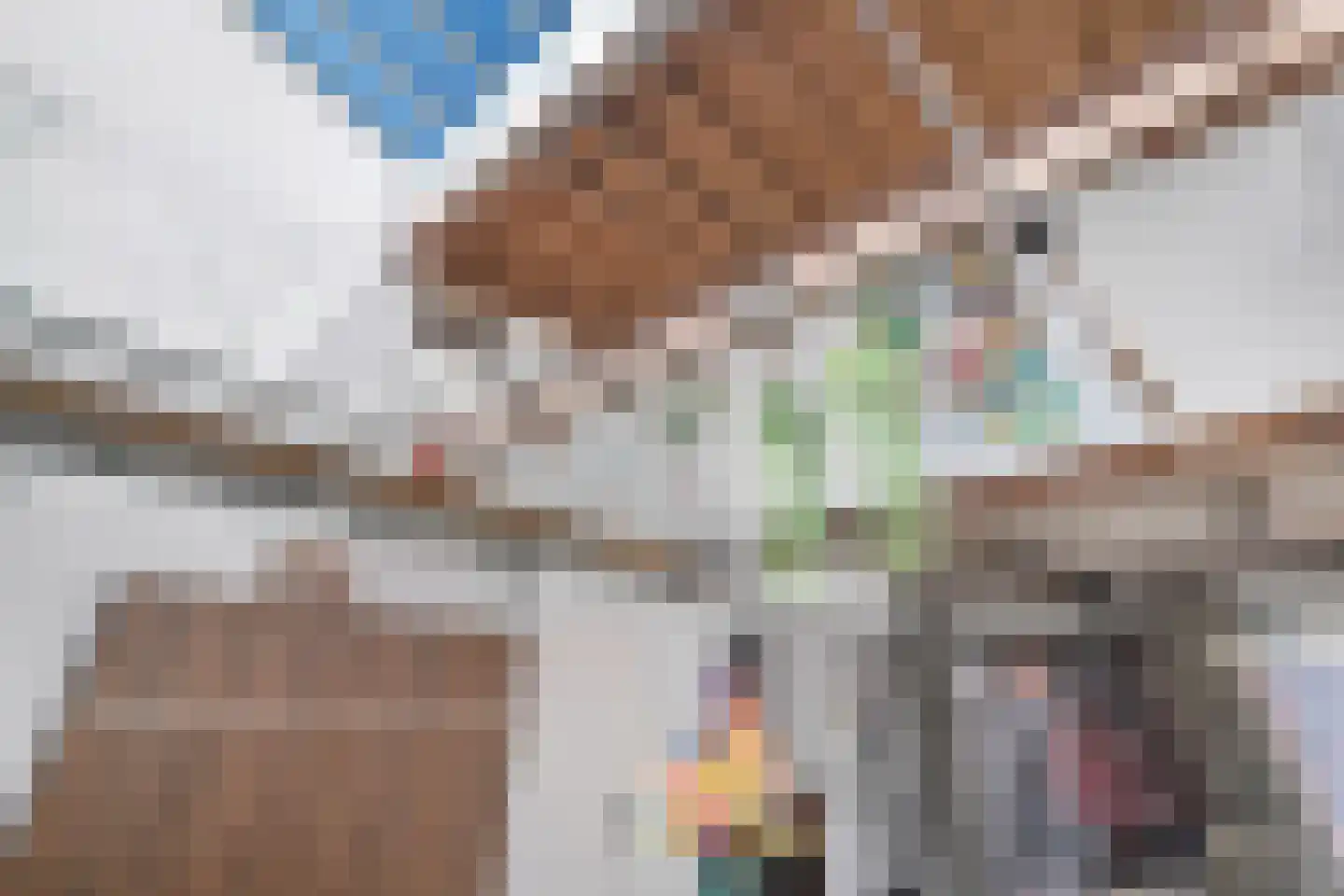 Zonnebloemstraat 7 Breda thumbnail 22