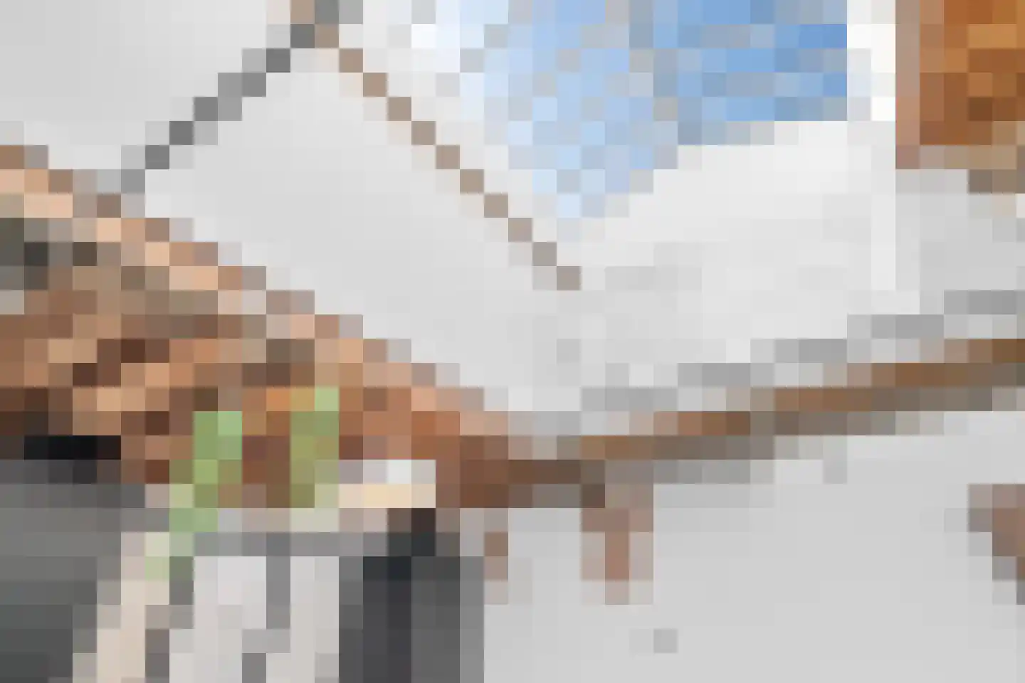 Zonnebloemstraat 7 Breda thumbnail 23