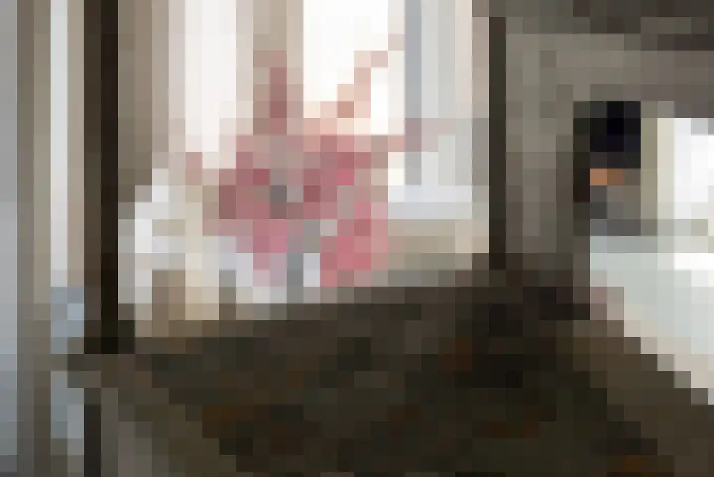 Zonnebloemstraat 7 Breda thumbnail 39