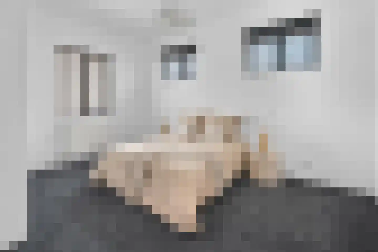 Zonnebloemstraat 7 Breda thumbnail 41
