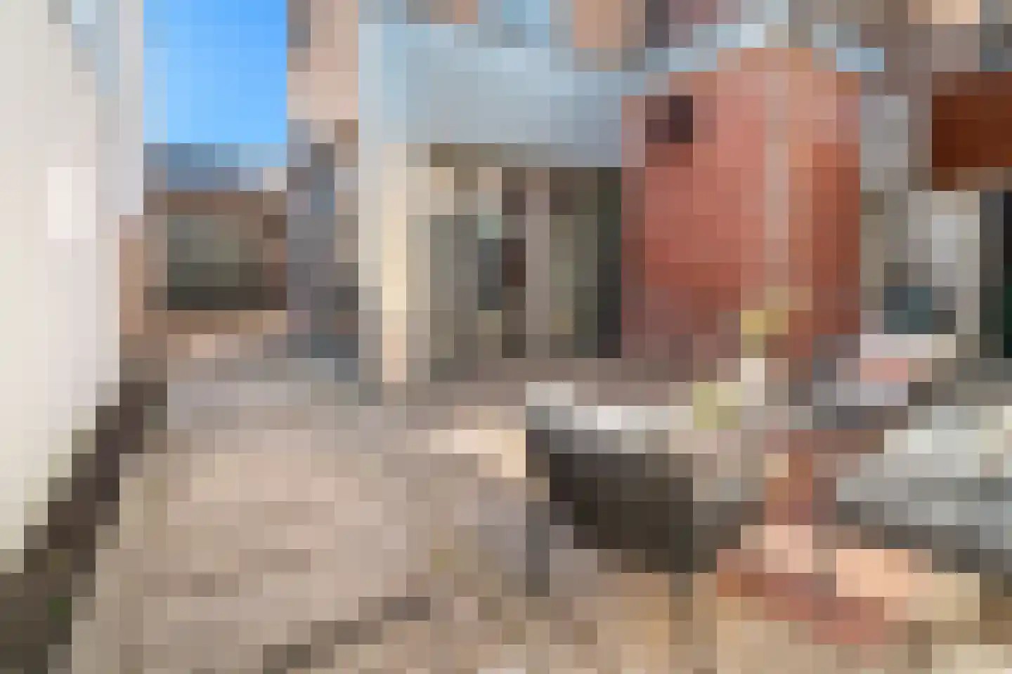 Zonnebloemstraat 7 Breda thumbnail 62