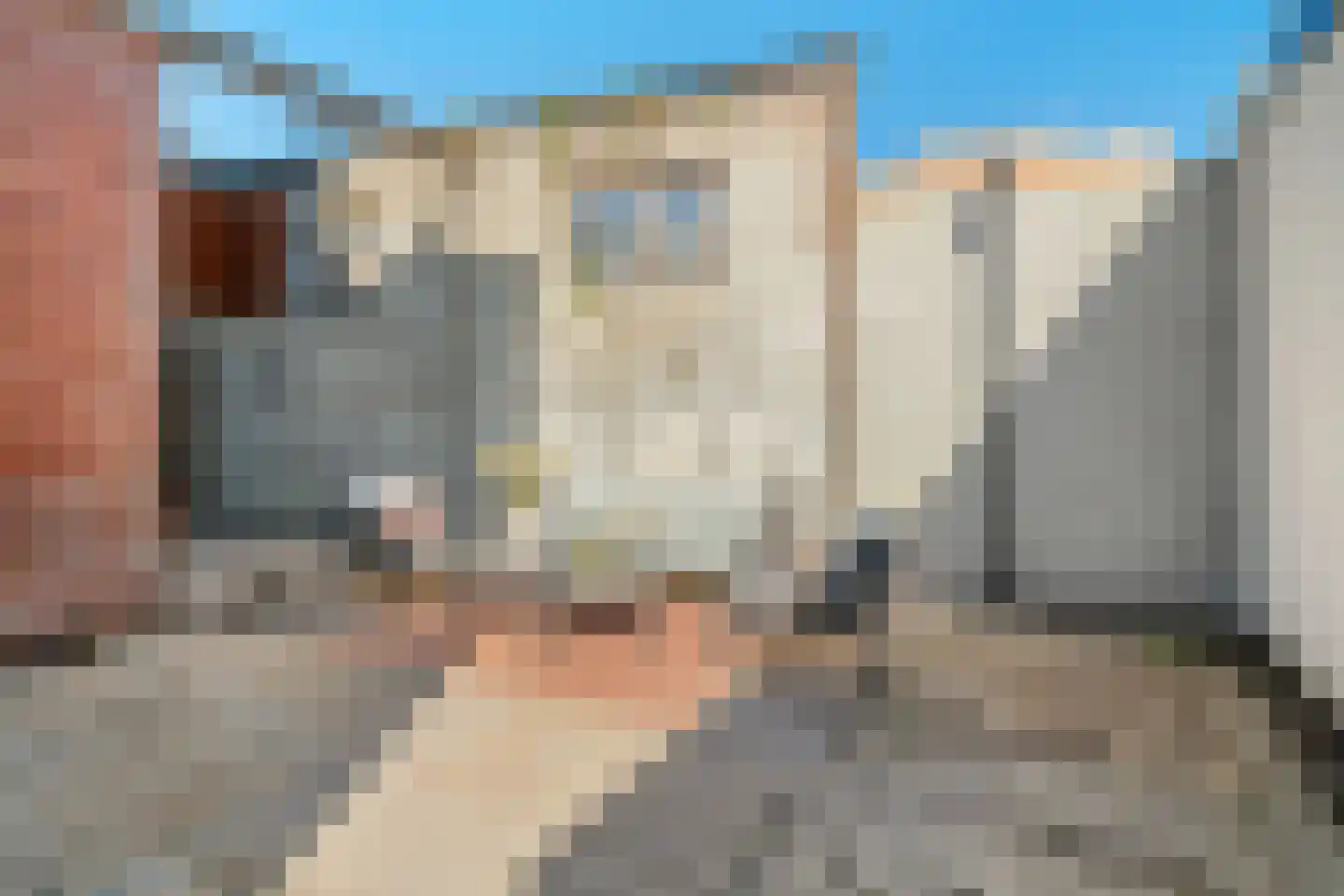 Zonnebloemstraat 7 Breda thumbnail 63