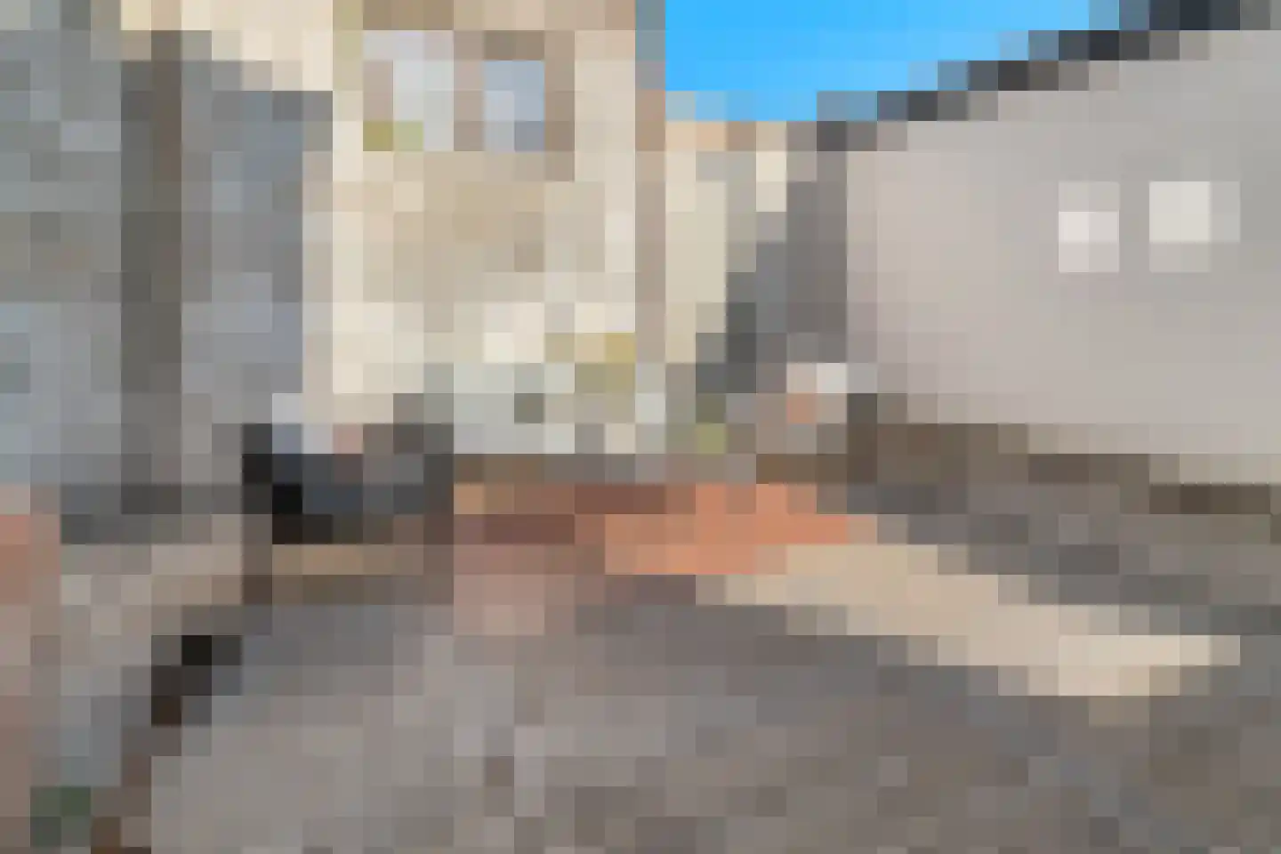Zonnebloemstraat 7 Breda thumbnail 64