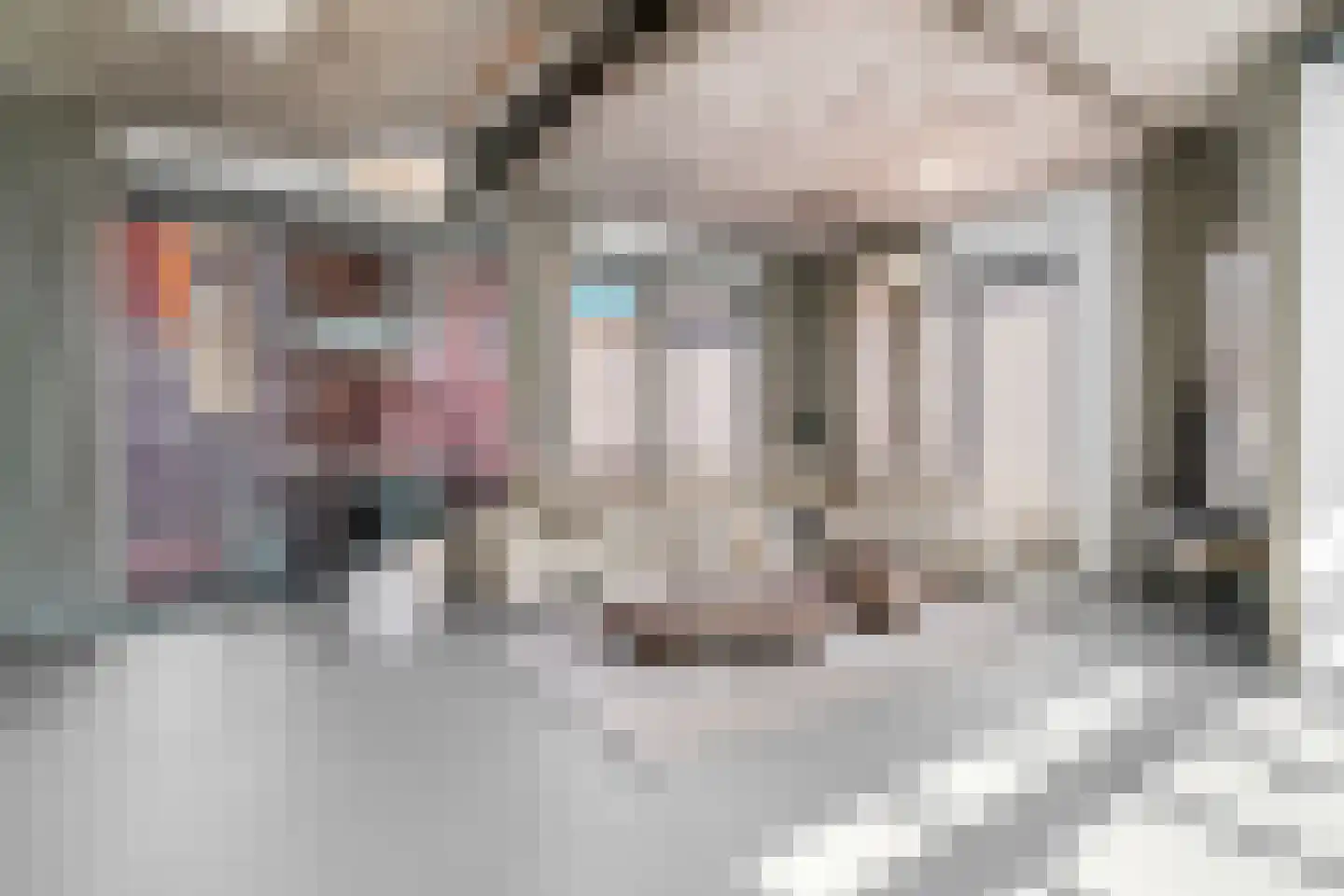 Zonnebloemstraat 7 Breda thumbnail 8