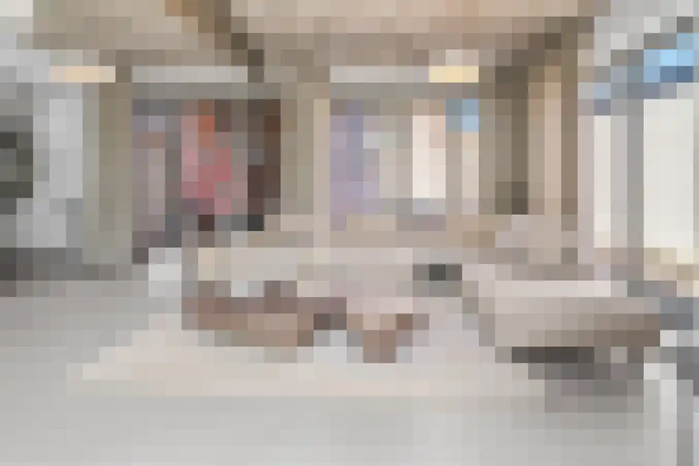 Zonnebloemstraat 7 Breda thumbnail 9
