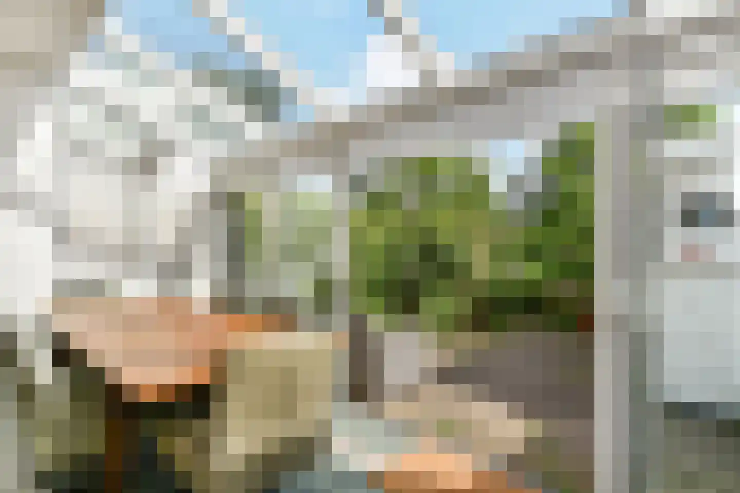 Zonnebloemstraat 7 Den Haag thumbnail 12