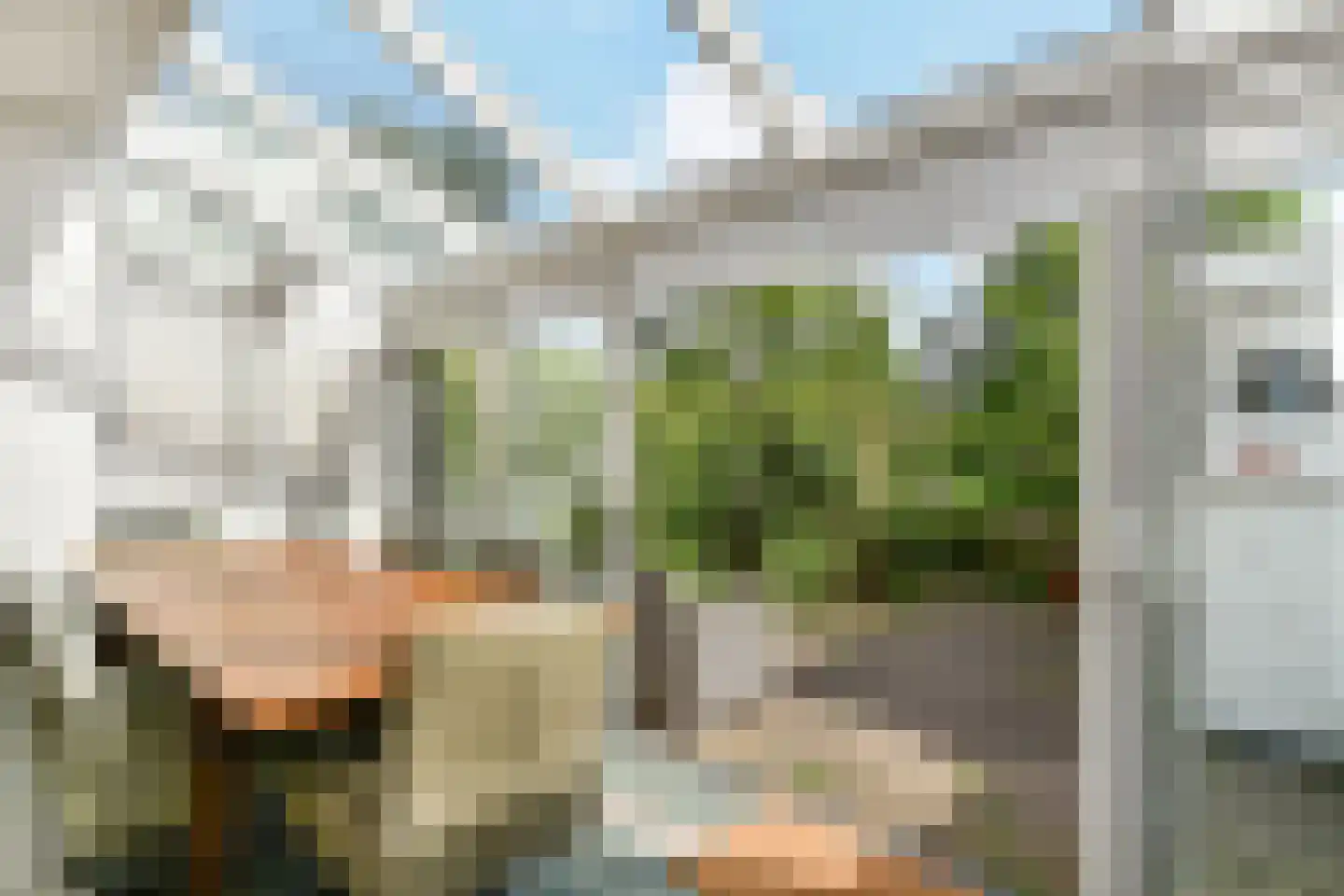 Zonnebloemstraat 7 Den Haag thumbnail 12
