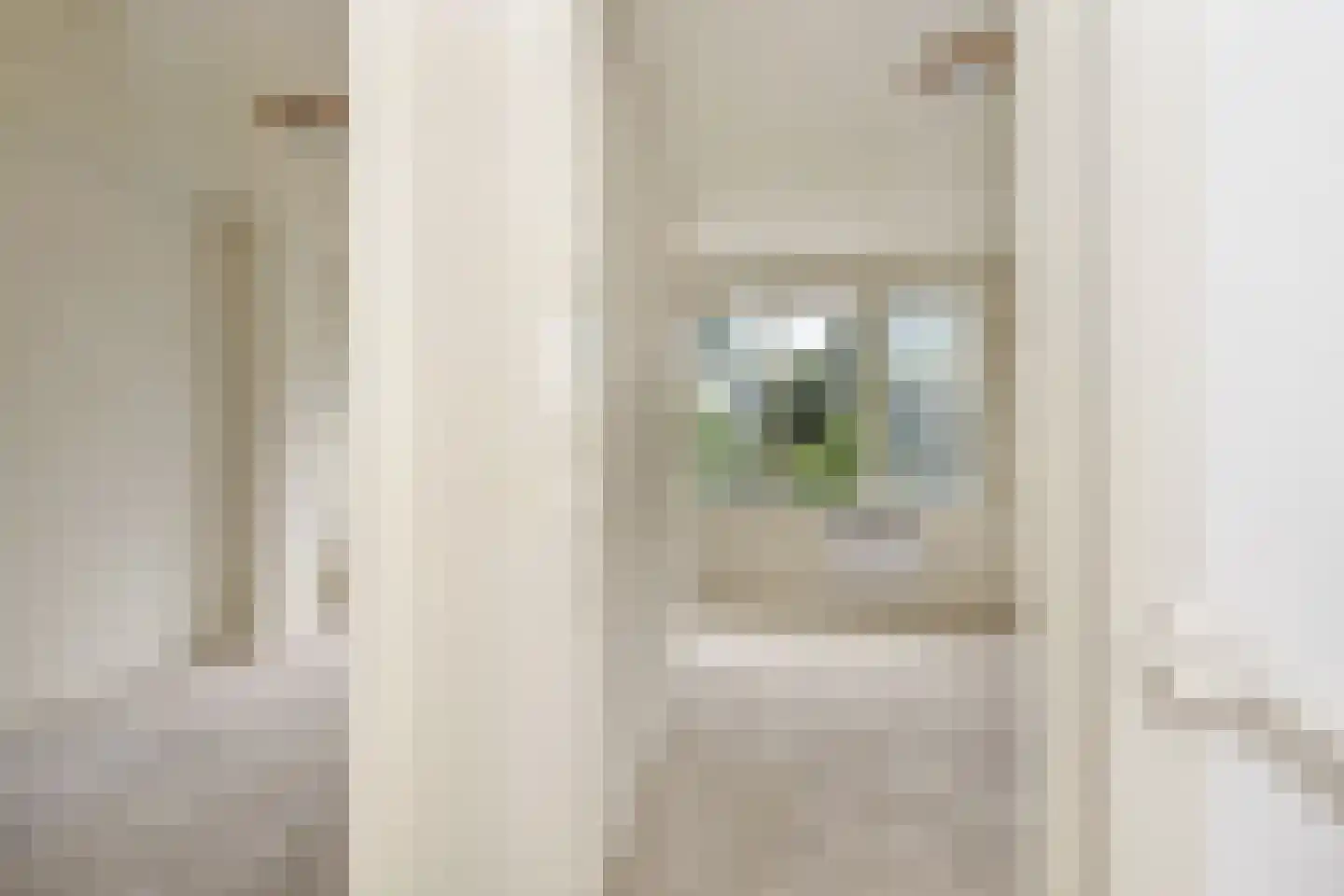 Zonnebloemstraat 7 Den Haag thumbnail 21