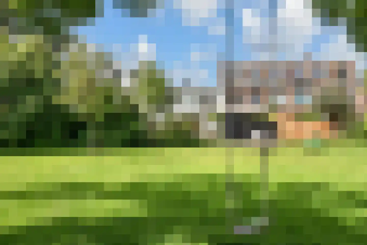 Zonnebloemstraat 7 Den Haag thumbnail 37