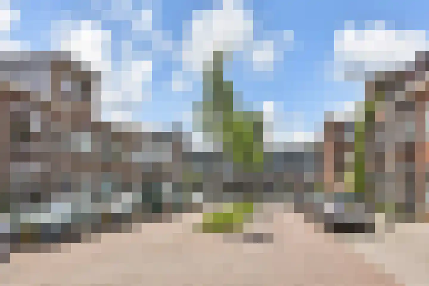 Zonnebloemstraat 7 Den Haag thumbnail 40