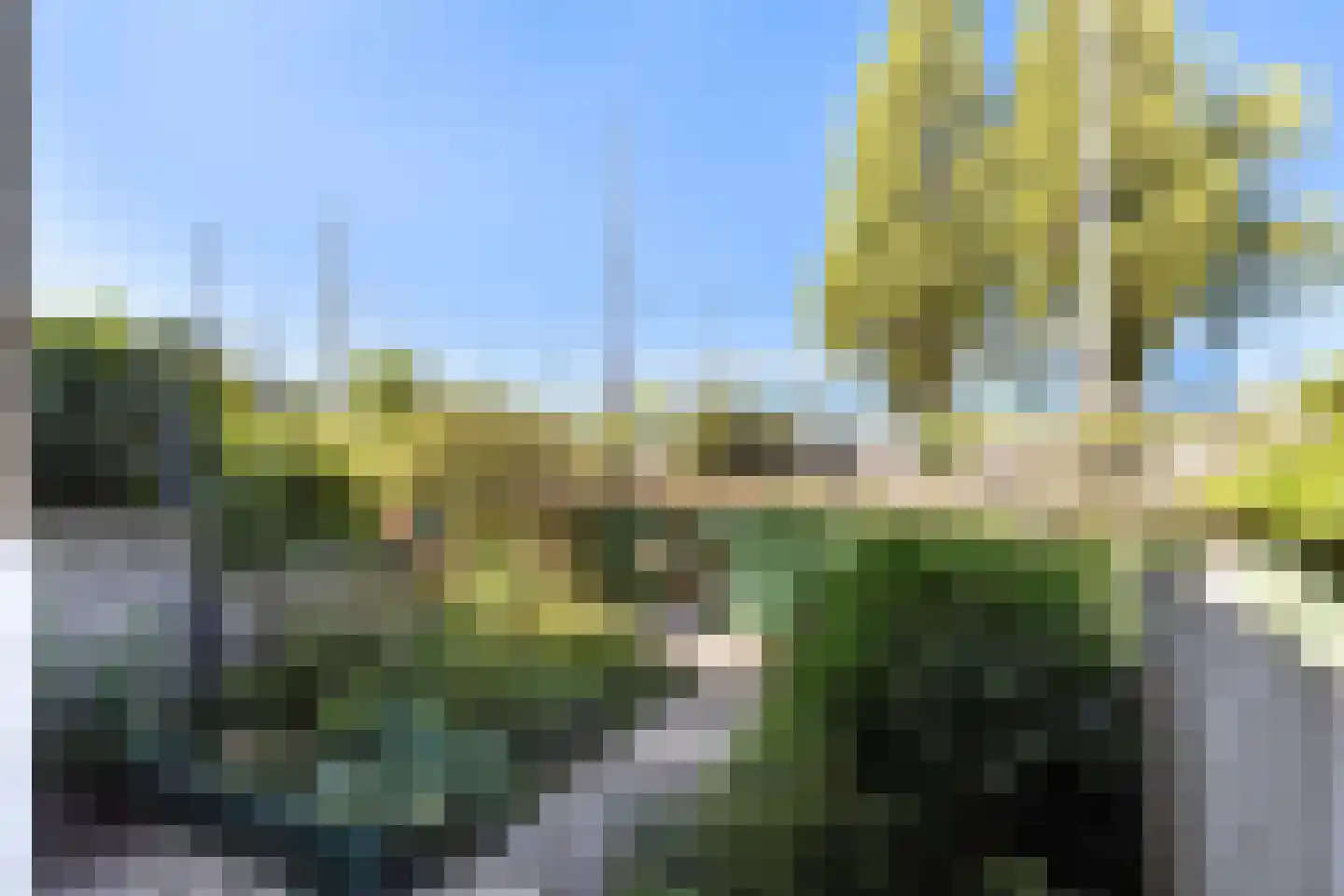 Zonnebloemstraat 70 A Rotterdam thumbnail 17