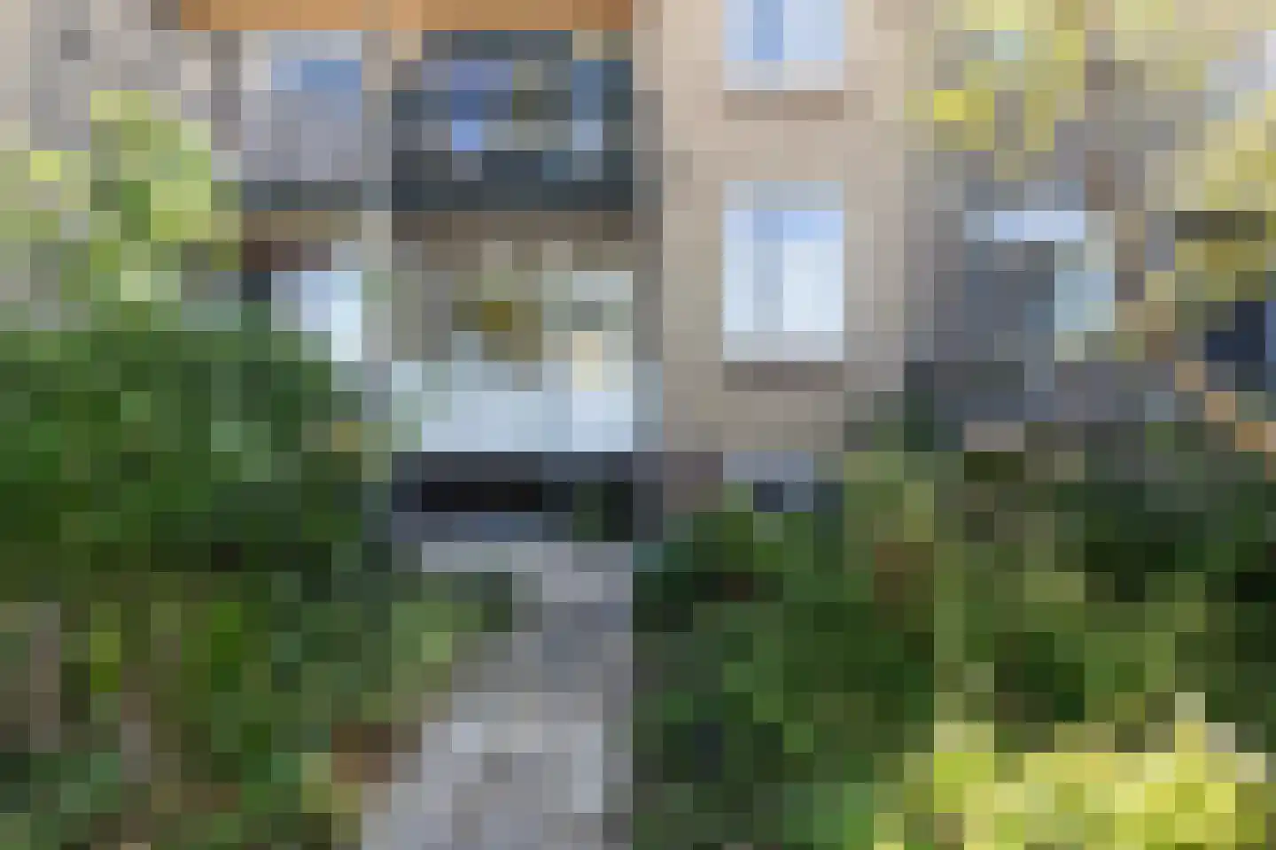 Zonnebloemstraat 70 A Rotterdam thumbnail 18