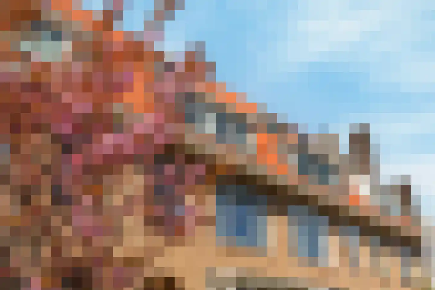 Zonnebloemstraat 70 A Rotterdam thumbnail 37