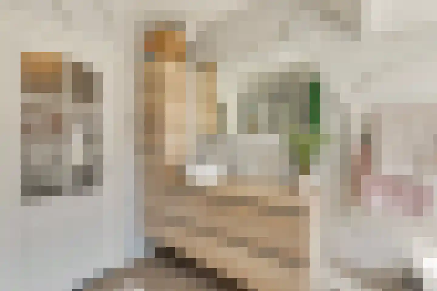 Zonnebloemstraat 70 B Rotterdam thumbnail 29
