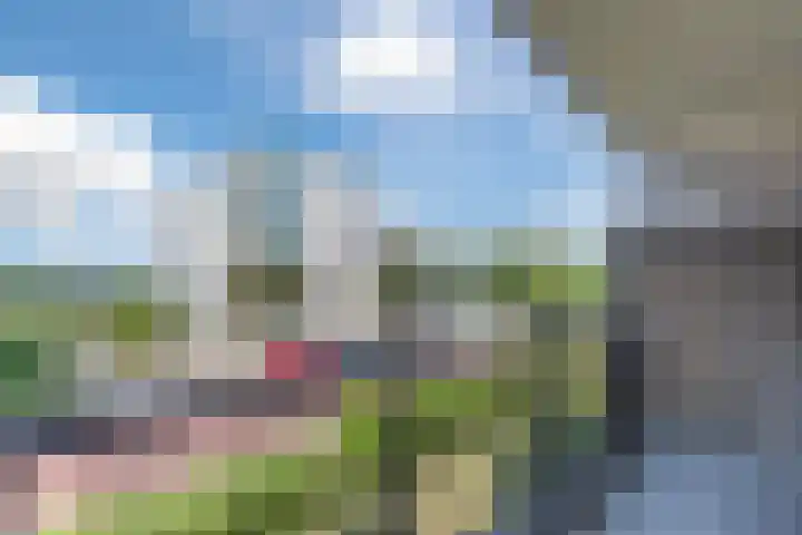 Zonnebloemstraat 76 Katwijk thumbnail 31