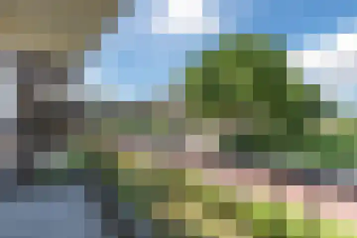 Zonnebloemstraat 76 Katwijk thumbnail 4