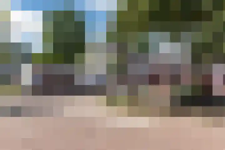 Zonnebloemstraat 76 Katwijk thumbnail 43