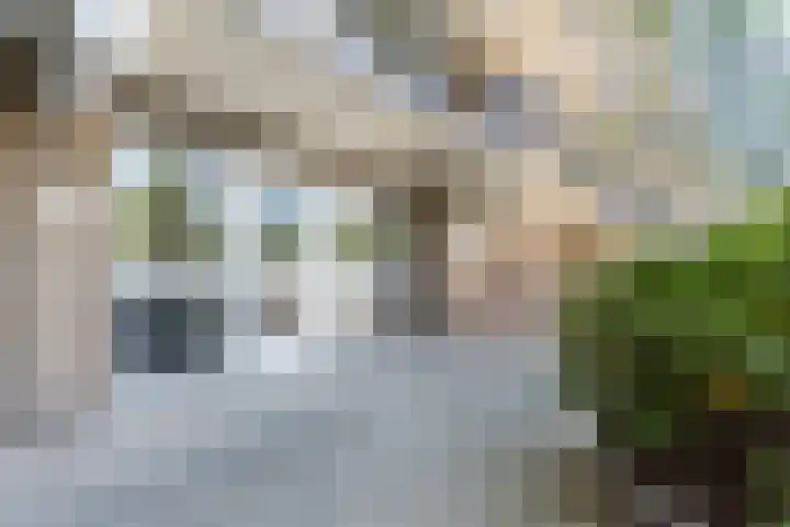 Zonnebloemstraat 76 Katwijk thumbnail 6