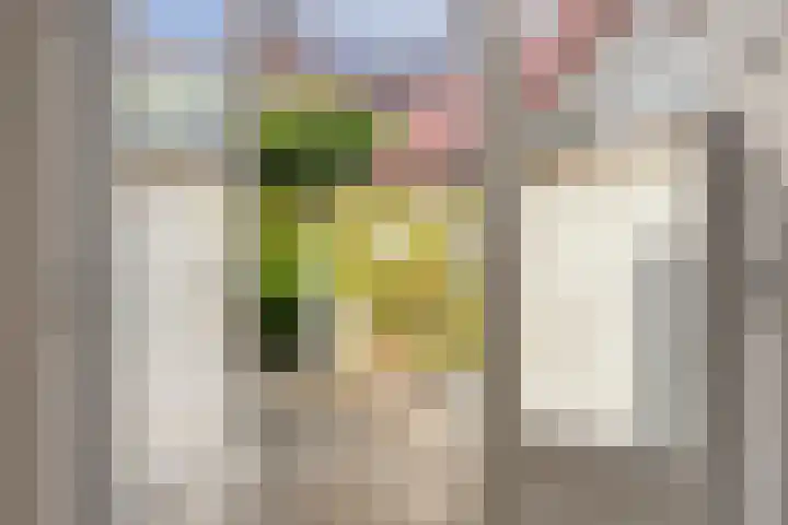 Zonnebloemstraat 8 Zwolle thumbnail 10