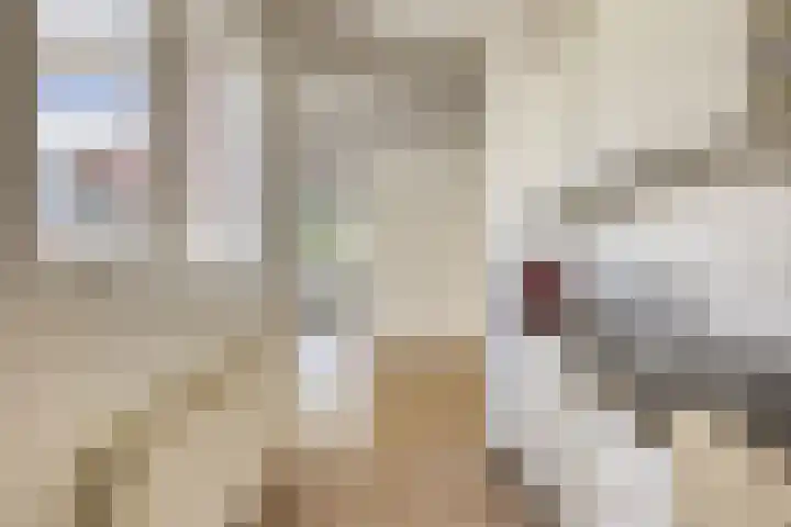Zonnebloemstraat 8 Zwolle thumbnail 12