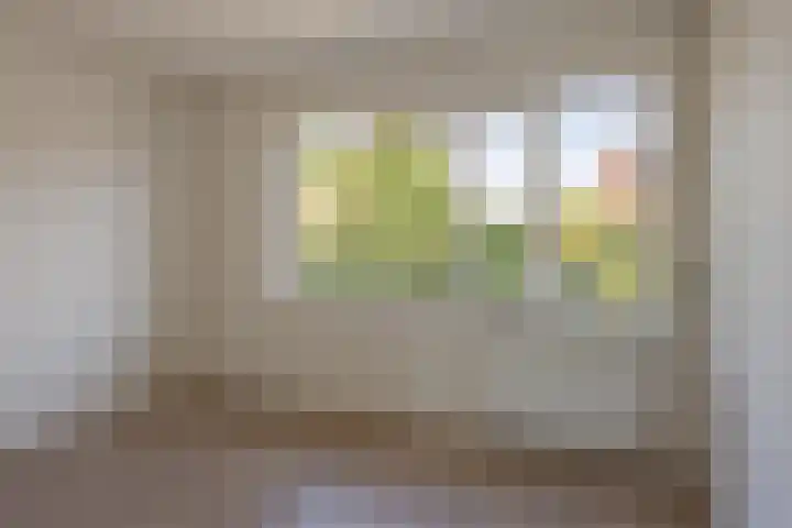Zonnebloemstraat 8 Zwolle thumbnail 17