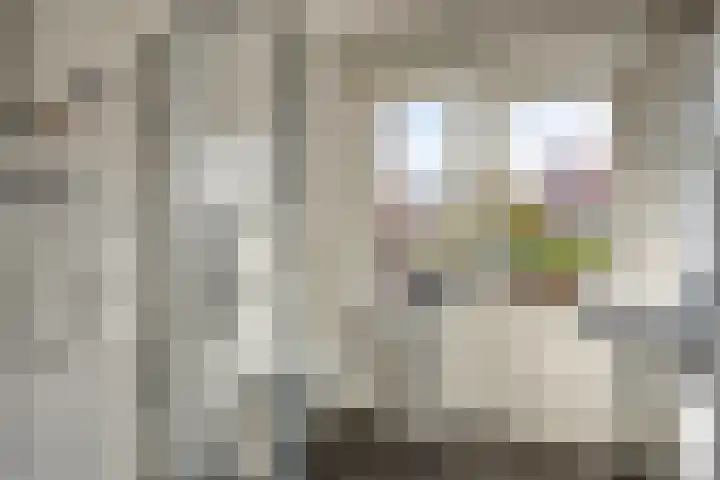 Zonnebloemstraat 8 Zwolle thumbnail 19