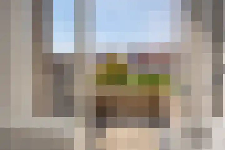 Zonnebloemstraat 8 Zwolle thumbnail 21