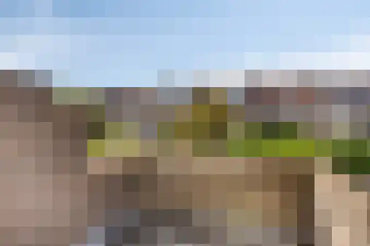 Zonnebloemstraat 8 Zwolle thumbnail 22