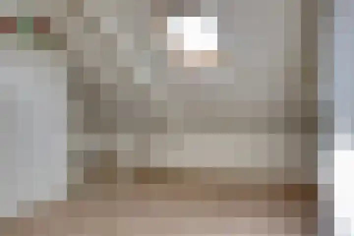 Zonnebloemstraat 8 Zwolle thumbnail 27