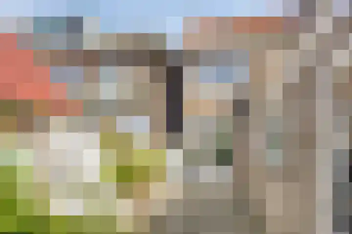 Zonnebloemstraat 8 Zwolle thumbnail 29